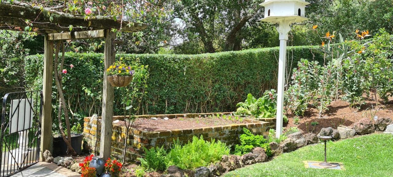 Dovecote House Bed & Breakfast Auckland Exterior photo